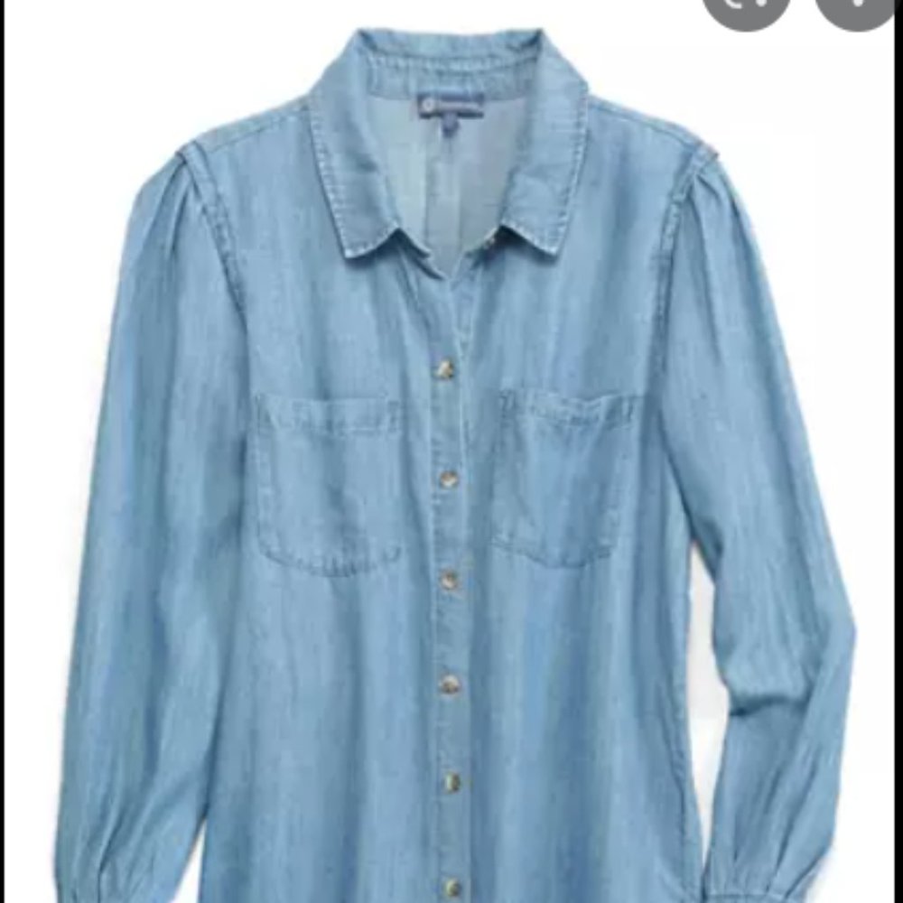 Democracy Chambray Button Down Shirt - Picture 6 of 9